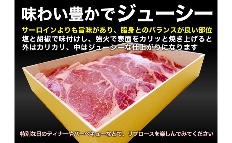 ファイブスタービーフステーキセット（ロース5枚、ヒレ5枚）ステーキ肉 肉 牛 牛肉 ニュージーランド産 市原市 千葉
