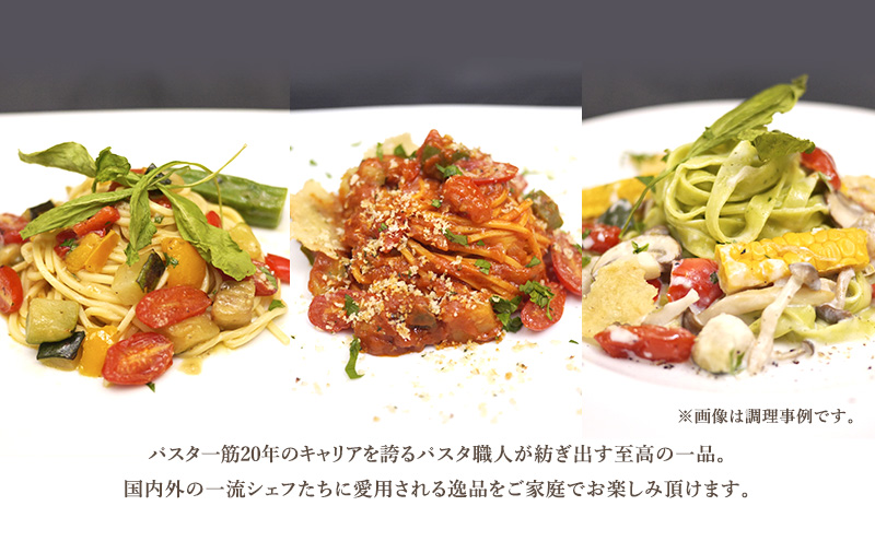 パスタ 高級レストラン御用達 職人の生パスタ「野菜好きの生パスタ　48食セット」 ～本格パスタ専門製麺所「プリマパスタ」の極上の歯応え～【1207-1268-1303-48】
