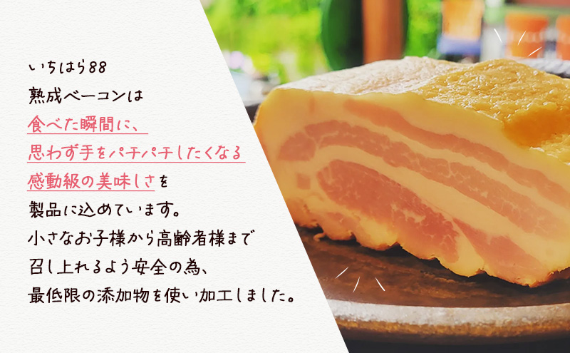 時代家ソーセージ5種詰め合わせ＋熟成ベーコン約500g 1個 ソーセージ ベーコン 冷凍 小分け 詰め合わせ セット おかず おつまみ 市原市 千葉