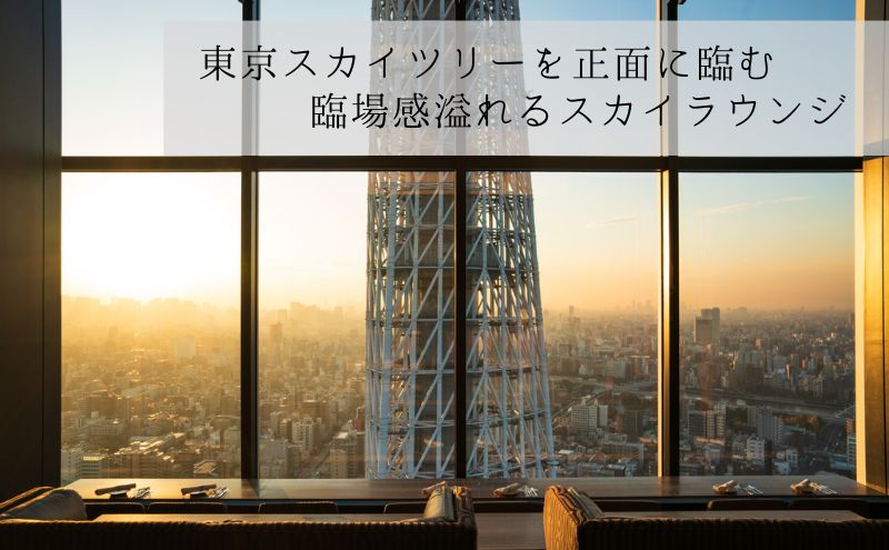 天空LOUNGE TOP of TREE「記念日におすすめ乾杯ドリンク付き 国産牛ステーキコース」 ペア ランチ 食事券