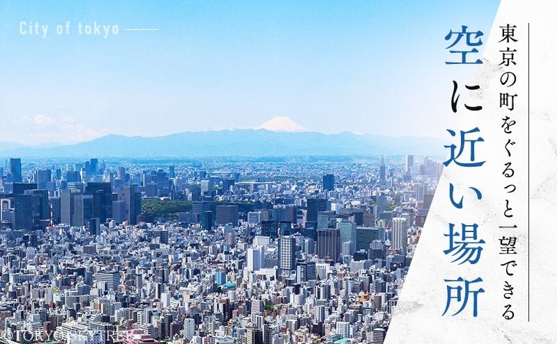 【有効期限：2026年3月31日】東京 スカイツリー 展望台 入場引換券 天望デッキ ・ 天望回廊セット券 大人 1枚 有効期間 5ヶ月 （2025.11.1～2026.3.31） TOKYO SKYTREE 墨田区