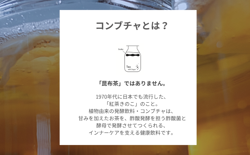 発酵飲料コンブチャ【KBT】煎茶720ml｜健康 美容 腸内環境 免疫 添加物不使用 国内製造