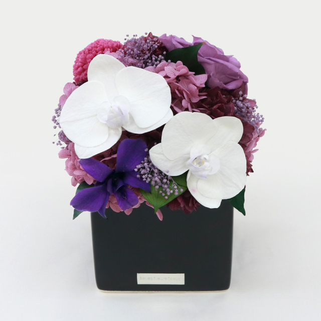 胡蝶蘭キューブM 花 お花 プリザーブドフラワー ギフト プレゼント お祝い 誕生日 お供え アレンジ インテリア 東京都 墨田区【グリーン】