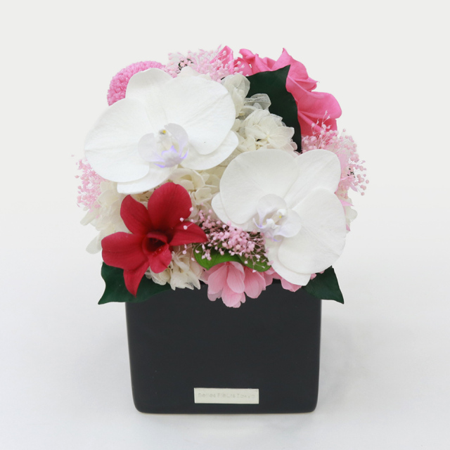 胡蝶蘭キューブM 花 お花 プリザーブドフラワー ギフト プレゼント お祝い 誕生日 お供え アレンジ インテリア 東京都 墨田区【グリーン】