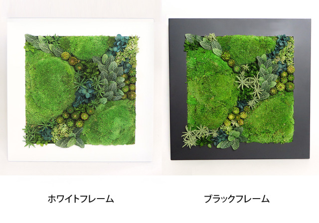 グリーンフレーム２L 花 お花 プリザーブドフラワー ギフト プレゼント お祝い 誕生日 お供え アレンジ インテリア 東京都 墨田区【白フレーム】