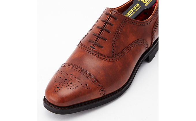 スコッチグレイン 紳士靴 「シャインオアレインIII」 NO.2720BR メンズ 靴 シューズ ビジネス ビジネスシューズ 仕事用 ファッション パーティー フォーマル　24.5cm