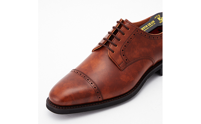 スコッチグレイン 紳士靴 「シャインオアレインIV」 NO.2773BR メンズ 靴 シューズ ビジネス ビジネスシューズ 仕事用 ファッション パーティー フォーマル　27.0cm