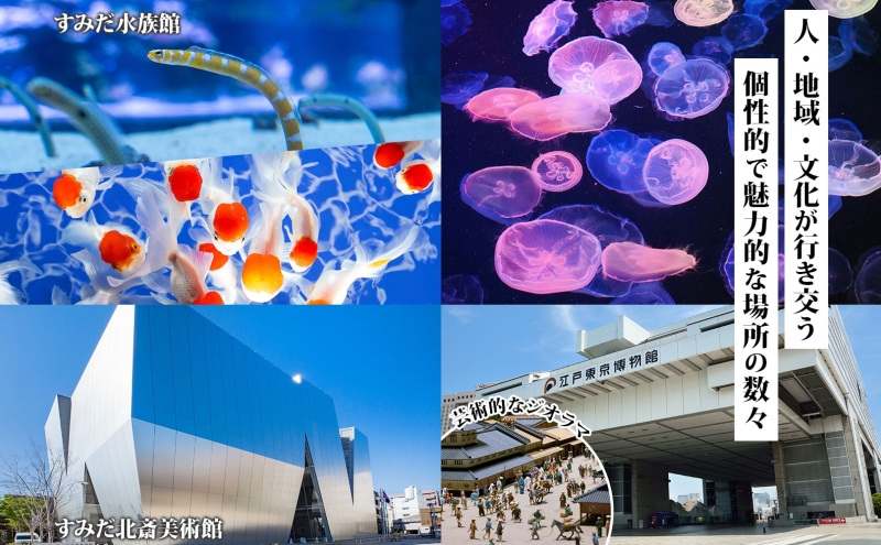 【東京ツアー】墨田区 旅行クーポン 後から選べる旅行Webカタログで使える！旅行クーポン（150,000円分）粋をめぐる、すみだ旅！ 旅行券 宿泊券 飲食券 体験サービス券