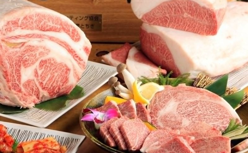 【墨田区ふるさと納税限定】 墨田区内で使える共通ご食事券 5000円分 対象74店舗 チケット 利用券 クーポン 共通 飲食店 墨田区 東京都　食事券 東京