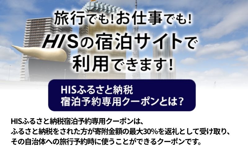 HISふるさと納税宿泊予約専用クーポン（東京都墨田区）90,000円分