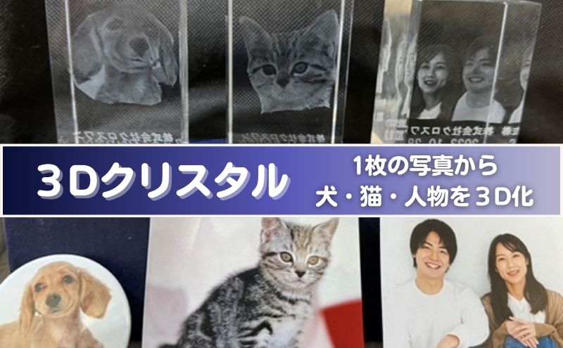 置物 1枚写真で3Dクリスタル 犬・猫・人物の正面写真 3Dクリスタル クリスタル インテリア ペット グッズ 猫 犬 家族 子供 名入れ おしゃれ 猫グッズ 犬グッズ ギフト プレゼント 贈答 贈答品 記念品 お祝い 変わり種 雑貨 東京 東京都 豊島区