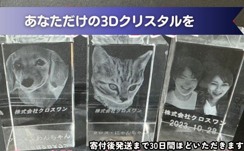 置物 1枚写真で3Dクリスタル 犬・猫・人物の正面写真 3Dクリスタル クリスタル インテリア ペット グッズ 猫 犬 家族 子供 名入れ おしゃれ 猫グッズ 犬グッズ ギフト プレゼント 贈答 贈答品 記念品 お祝い 変わり種 雑貨 東京 東京都 豊島区