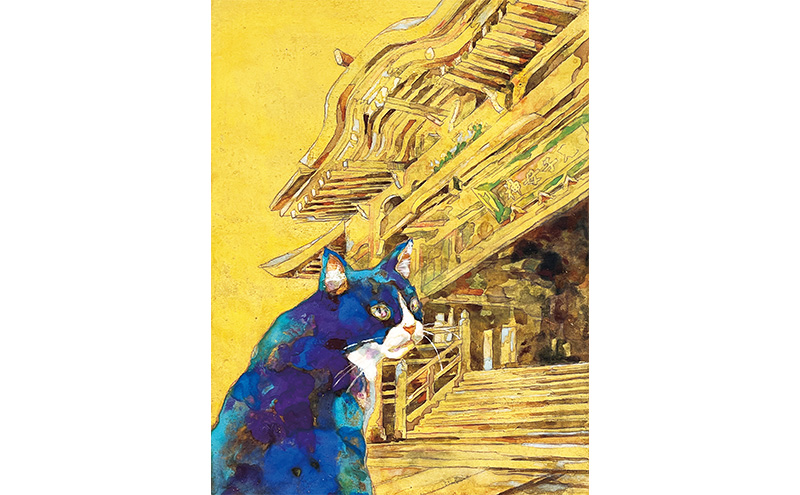 yurucafe レトルトカレー10箱セット カレー レトルトカレー ココナッツミルク