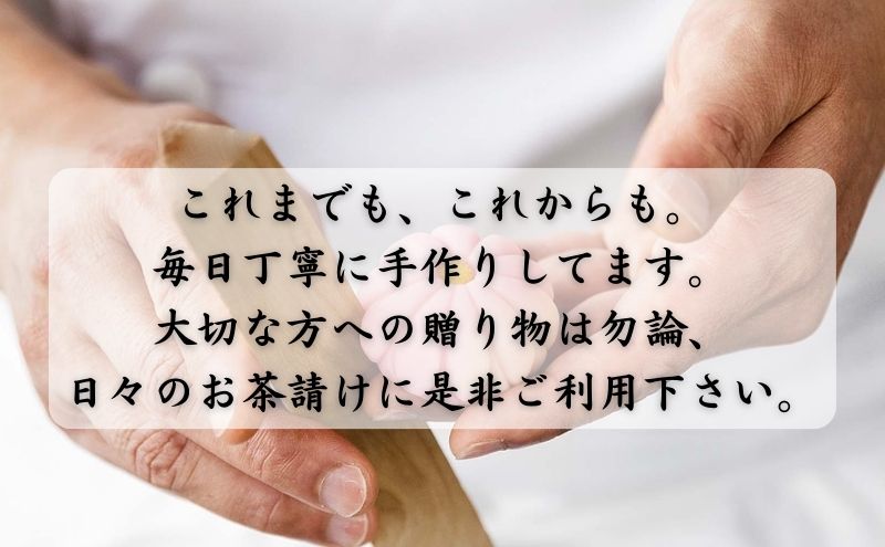 池袋銘菓 池ぶくろう最中 10個 セット 詰め合わせ 和菓子 お菓子 菓子 おやつ 最中 もなか モナカ つぶあん お茶請け 手土産 お土産 和菓子セット 和菓子詰め合わせ 東京 豊島区