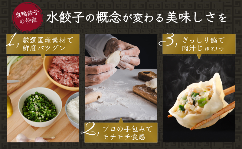 餃子 水餃子 巣鴨餃子 水餃子とパクチー水餃子の組み合わせ 各2袋 48個 清緑園 ぎょうざ ギョウザ セット もちもち パクチー 冷凍餃子 国産素材 お取り寄せ ギフト 冷凍 中華料理 おつまみ おかず 総菜