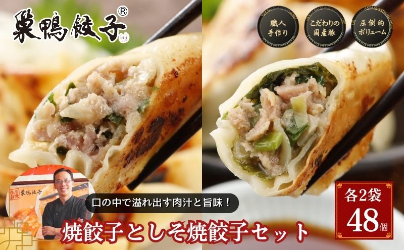 一番の の組み合わせ 焼餃子としそ焼餃子 巣鴨餃子 各2袋 餃子 48個 ジャケット・アウター