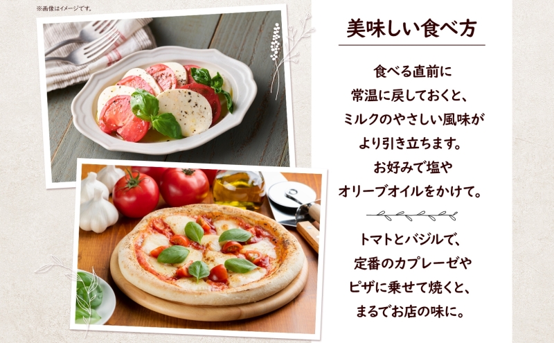 6ヶ月定期便 出来立て新鮮 モッツァレラチーズ100g  ×  4個セット 茅ケ崎産 加工食品 乳製品 チーズ 出来立て 神奈川県産 モッツァレラ 手作り Osteria e Bottega S 神奈川県 湘南 茅ケ崎 フレッシュチーズ  おつまみ ピザ