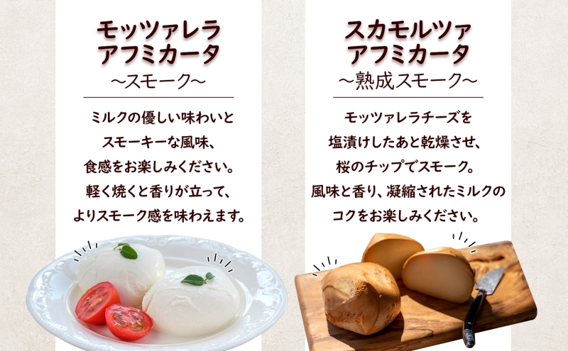 6ヶ月定期便 チーズ 4種 詰め合わせ 各1個 Osteria e Bottega S モッツァレラ ブラッターチーズ スカモルツァアフミカータ 神奈川県 茅ケ崎市 加工食品 乳製品 牛乳 手作業 ミルク 銀賞 幻のチーズ スモーク 塩漬け 美味しい  おつまみ ピザ