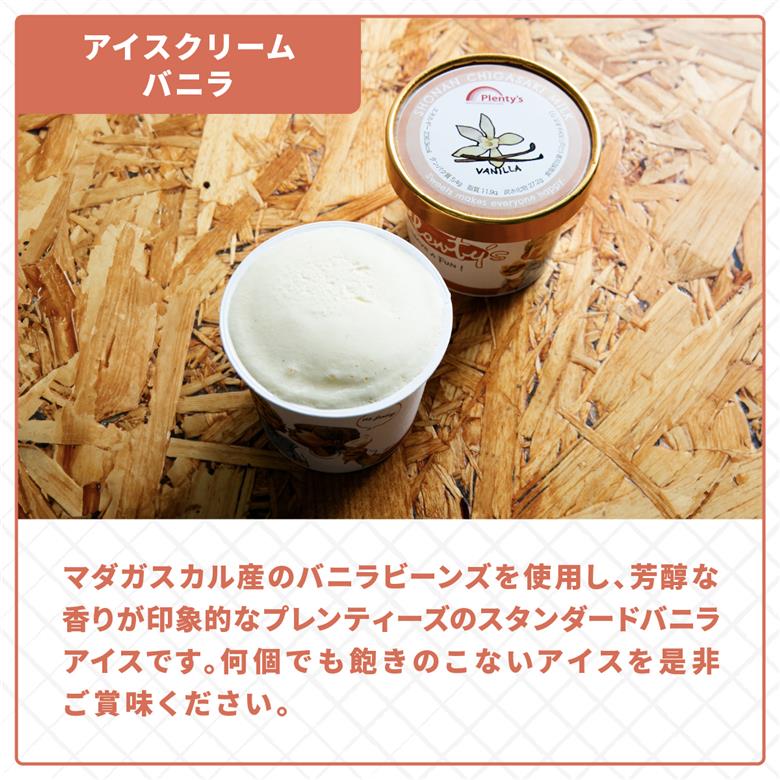 プレンティーズ バニラアイスクリーム 10個セット【のし有】