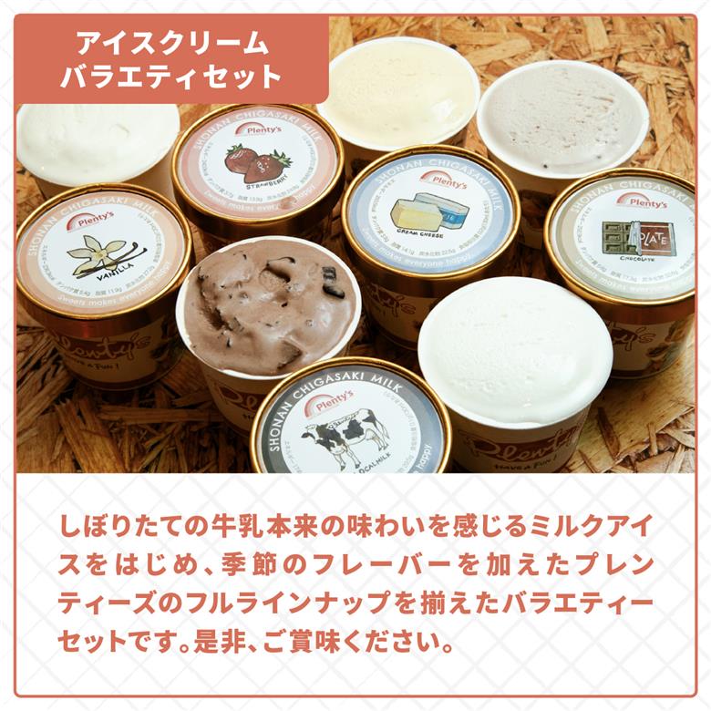 プレンティーズ バラエティアイスセット 5種10個【のし無】