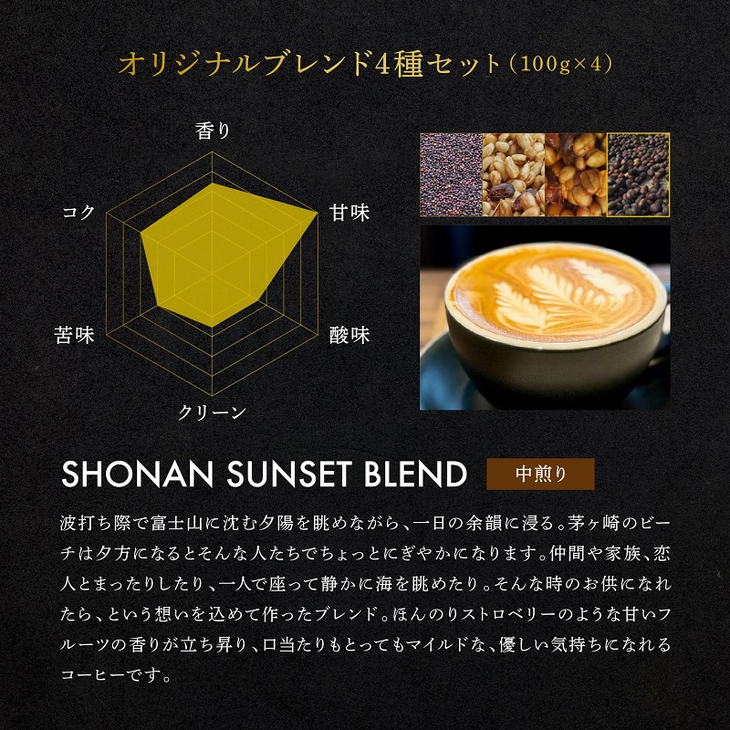 定期便 隔月 3回【茅ヶ崎のスペシャルティコーヒー専門ロースター】CRUISE TOWN COFFEE ROASTERS オリジナルブレンド4種セット（100g×4） コーヒー豆 飲み物 飲料 ドリンク コーヒーブレイク 飲み比べ