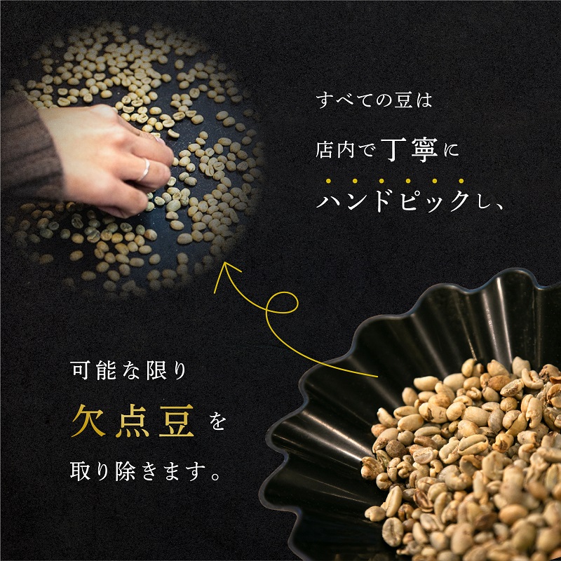 6ヵ月定期便【CRUISE TOWN COFFEE ROASTERS】中～中浅煎りドリップバッグセット（12g×16） 飲み物 飲料 ドリンク コーヒーブレイク ドリップコーヒー 手軽