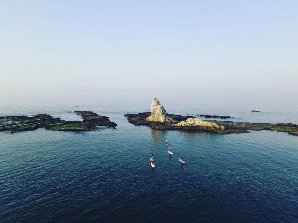 (4)海洋散骨セレモニー券（大切なご家族（故人）とのお別れセレモニー） 海へ散骨