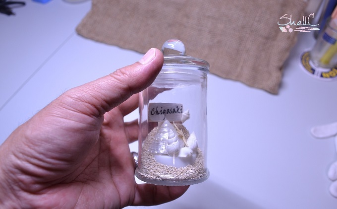 シェルランプ　【Mahalo】珊瑚