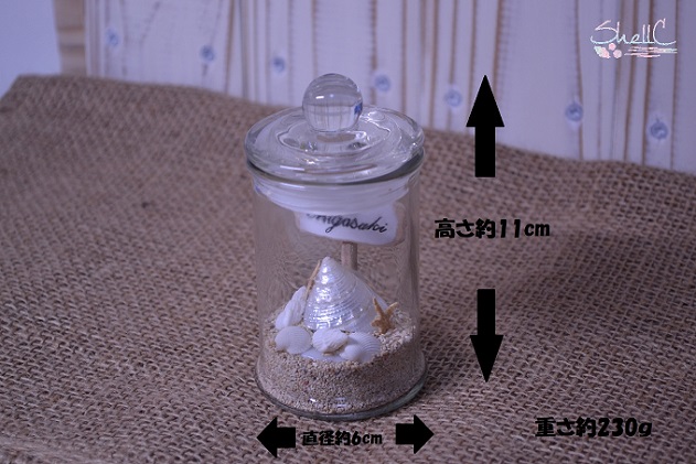 シェルランプ　【Mahalo】珊瑚