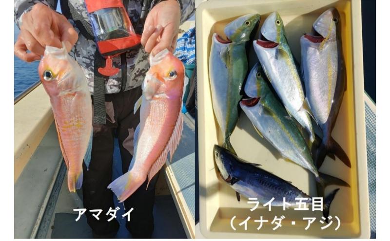 茅ヶ崎・釣り船　まごうの丸乗船券5,000円分　チケット 乗船券 乗船チケット 釣り フィッシング 釣船 乗合船 相模湾 ライト五目 タイ五目 シロギス カツオ キハダマグロ ヤリイカ