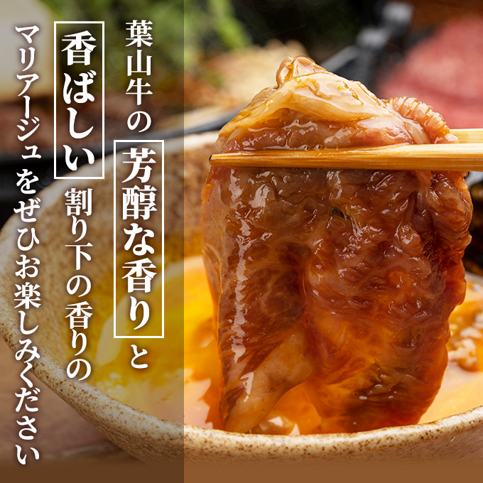 葉山牛 ロース すきやき 500g 冨士屋牛肉店 葉山牛 和牛 にく すき焼き 鍋 肉用 霜降り 冷凍 お中元 ギフト 箱入り 贈答用 豪華 神奈川県 【 逗子市 】