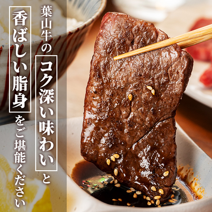 葉山牛 特上赤身 焼肉用 500g 冨士屋牛肉店 葉山牛 和牛 にく 肉焼くだけ 焼き肉用  冷凍 お中元 ギフト 箱入り 贈答用  豪華 おもてなし神奈川県 【 逗子市 】