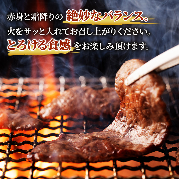 葉山牛 特上赤身 焼肉用 500g 冨士屋牛肉店 葉山牛 和牛 にく 肉焼くだけ 焼き肉用  冷凍 お中元 ギフト 箱入り 贈答用  豪華 おもてなし神奈川県 【 逗子市 】