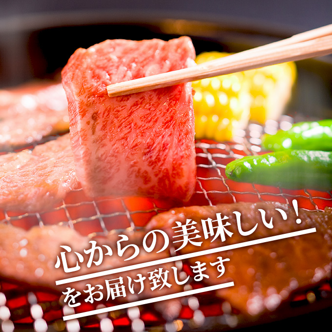 葉山牛 特上赤身 焼肉用 500g 冨士屋牛肉店 葉山牛 和牛 にく 肉焼くだけ 焼き肉用  冷凍 お中元 ギフト 箱入り 贈答用  豪華 おもてなし神奈川県 【 逗子市 】