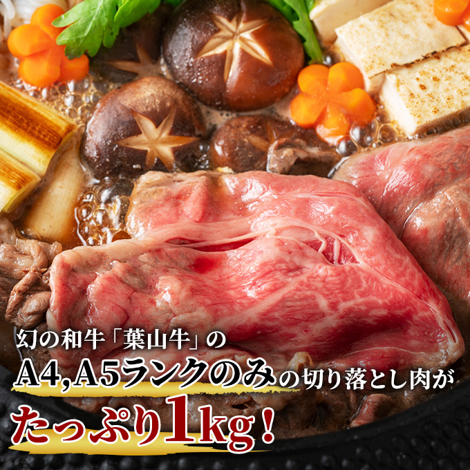 葉山牛 特上 切り落とし 1kg すき焼き 焼肉 冨士屋牛肉店 バーベキュー 箱入り 贈答  お中元 ギフト 小分け 使い切り A5  黒毛和牛 神奈川県 【 逗子市 】