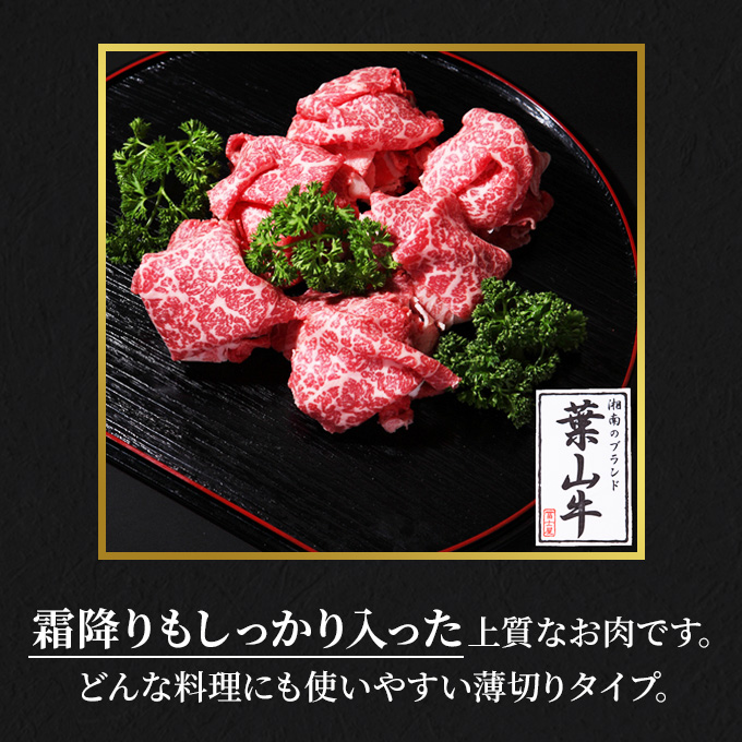 葉山牛 特上 切り落とし 1kg すき焼き 焼肉 冨士屋牛肉店 バーベキュー 箱入り 贈答  お中元 ギフト 小分け 使い切り A5  黒毛和牛 神奈川県 【 逗子市 】