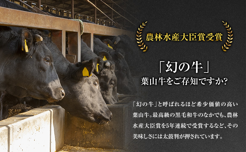 葉山牛 サーロインステーキ 約250g 2枚 冨士屋牛肉店 ステーキ サーロイン 霜降り 箱入り 贈答用 お中元 ギフト おもてなし 黒毛和牛 神奈川県 【 逗子市 】