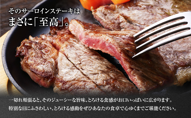 葉山牛 サーロインステーキ 約250g 2枚 冨士屋牛肉店 ステーキ サーロイン 霜降り 箱入り 贈答用 お中元 ギフト おもてなし 黒毛和牛 神奈川県 【 逗子市 】