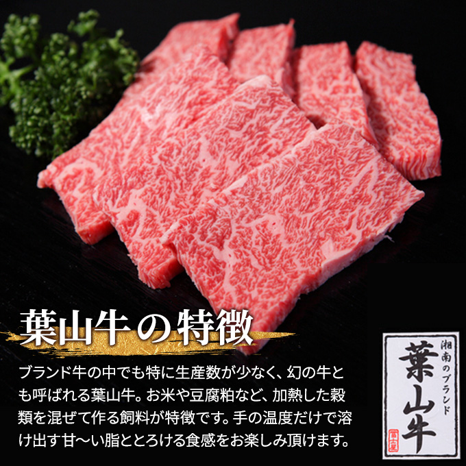 葉山牛 特上 赤身肉 すきやき 500g すき焼き 焼肉 冨士屋牛肉店 モモ カタ 赤身 バーベキュー 箱入り 贈答用 お中元 ギフト 黒毛和牛 神奈川県 【 逗子市 】