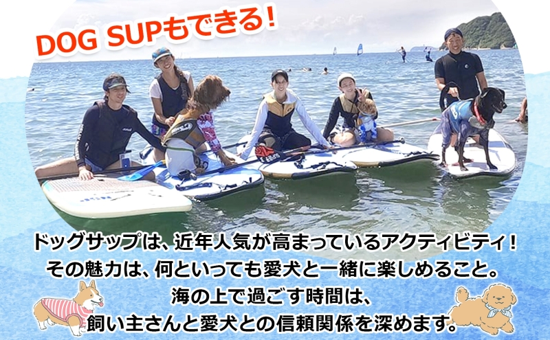 【 ふるさと納税 】Pono Outdoor Sport Labo SUP アウトリガーカヌー 体験 ご利用チケット 30,000円分 マリンスポーツ 海 初心者歓迎 サップ SUP カヌー ドッグサップ 犬 親子 神奈川県 逗子市