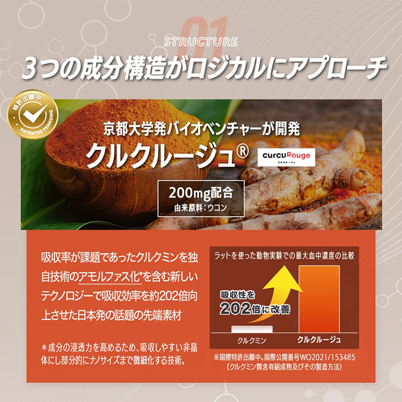 サプリ KIGASURE リボーン(Re;BONE) 高吸収 飲み会サプリ クルクミン入り 試しサイズ（10粒） 健康 飲み会 クルクミン ウコン 酢酸菌酵素 亜鉛 酵母 ビタミン 綾瀬市 神奈川県