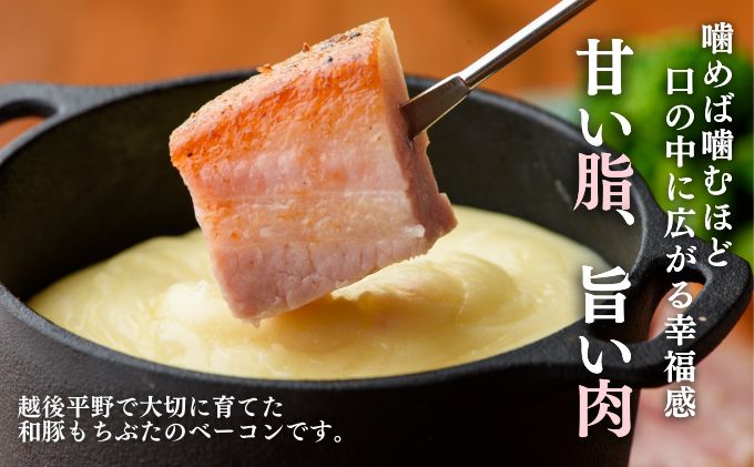 和豚もちぶたバラベーコンブロック1kg