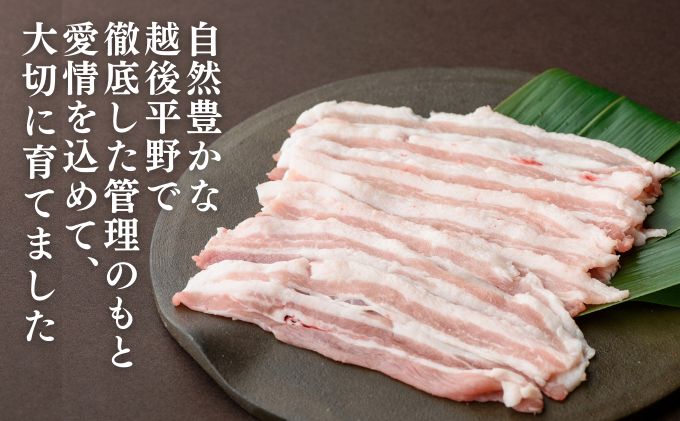和豚もちぶた バラ しゃぶしゃぶ用 1kg
