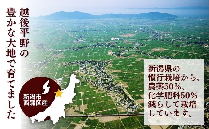 堆肥で育てた新潟産こしひかり10kg