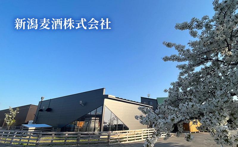 新潟麦酒缶330ml/Alc.4.5％