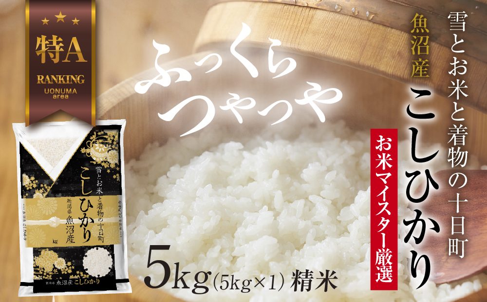 お米　こしひかり　5kg　追加購入ok　コメ　精米　主食　ご飯 お米 富士町 山麓米 こしひかり 5kg 追加購入ok 佐賀県産 コメ 精米