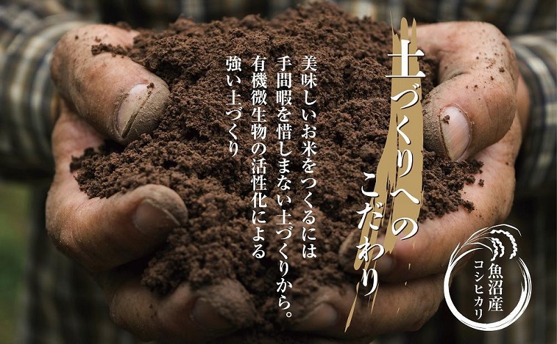 ｜無洗米｜ 魚沼産 コシヒカリ 5kg ×4袋 計20kg