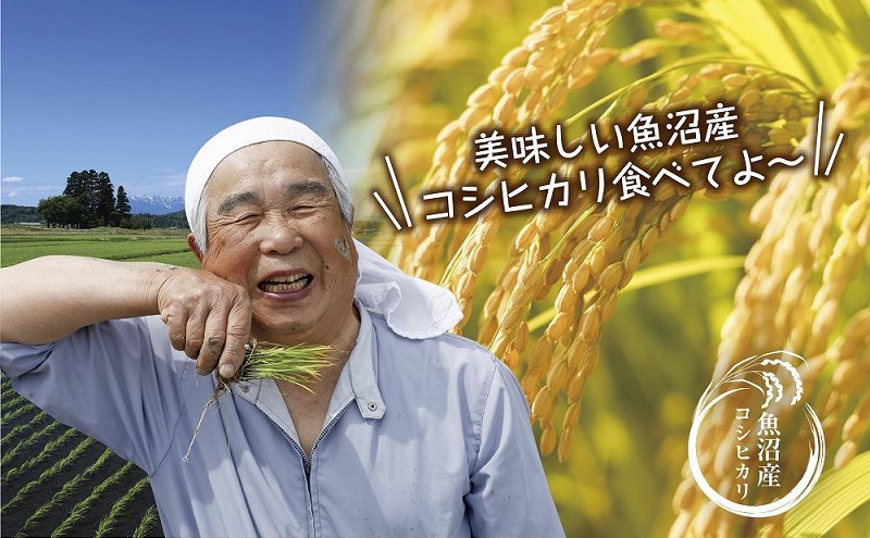 ｜無洗米｜ 魚沼産 コシヒカリ 5kg ×6袋 計30kg