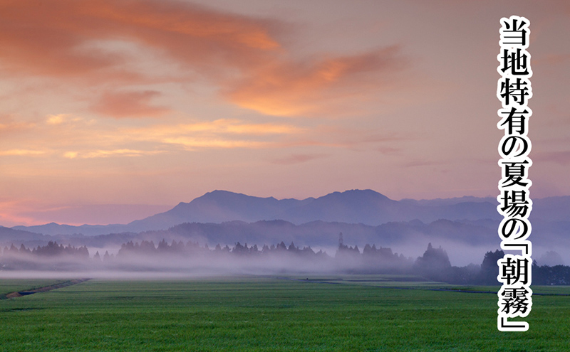 【厳選☆十日町育ち】“有機栽培米” 魚沼産コシヒカリ 5kg×2袋