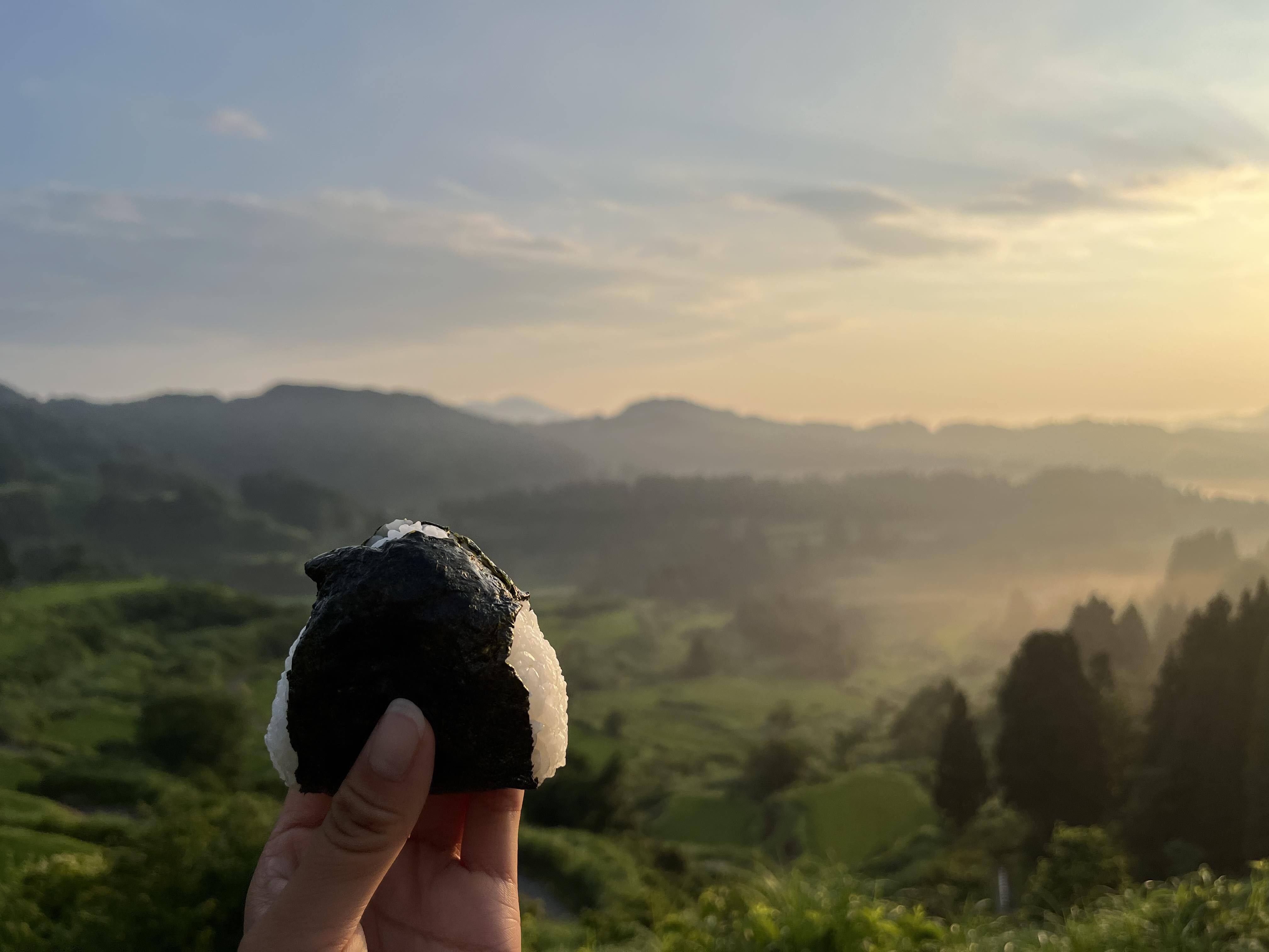 2026年度「まつだい棚田バンク」 標準コース (150平方メートル)